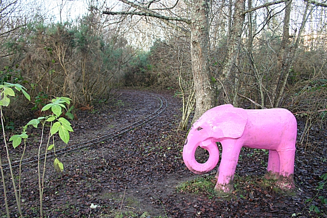 Photo source: https://commons.wikimedia.org/wiki/File:Pink_Elephant_-_geograph.org.uk_-_1092344.jpg